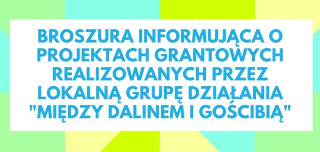 BROSZURA INFORMUJĄCA O PROJEKTACH GRANTOWYCH