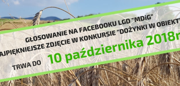 ROZPOCZĘŁO SIĘ GŁOSOWANIE NA NAJPIĘKNIEJSZE ZDJĘCIE W KONKURSIE “DOŻYNKI W OBIEKTYWIE”