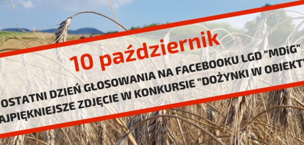10 październik- ostatni dzień głosowania na Facebooku LGD “MDiG” na najpiękniejsze zdjęcie w konkursie “Dożynki w obiektywie”