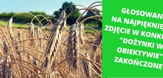 Głosowanie na najpiękniejsze zdjęcie w konkursie “Dożynki w obiektywie” zostało zakończone!