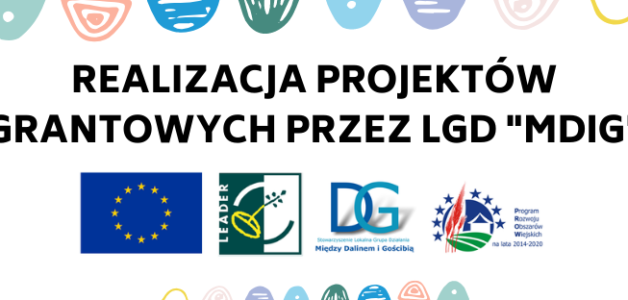 Realizacja projektów grantowych przez LGD “Między Dalinem i Gościbią”