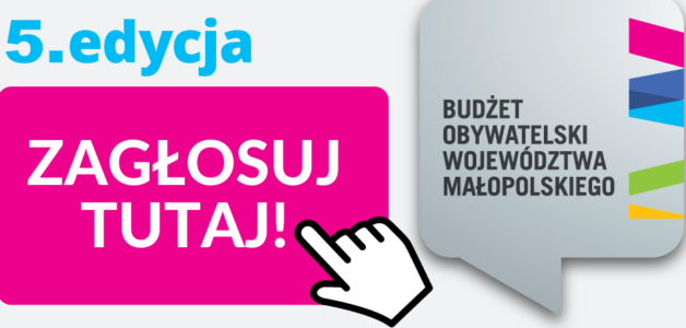 Budżet Obywatelski Małopolska 2021. Ruszyło głosowanie!