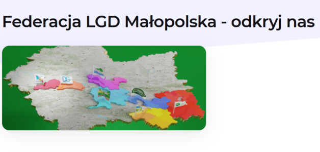 Federacja LGD Małopolska- PROJEKT “ODKRYJ NAS”