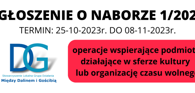 OGŁOSZENIE O NABORZE NR 1/2023- operacje wspierające podmioty działające w sferze kultury  lub organizację czasu wolnego
